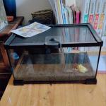 Mini Reptile Glass Terrarium Tank for Various Pets