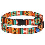Cute Breakaway Cat Collars with Bells - 2 Pack