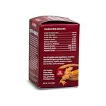 Fluker's High AMP Reptile Supplement, 50gm