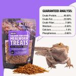 Fluker's Calcium-Fortified Mealworm Treats for Reptiles