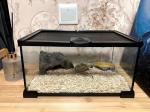 Mini Reptile Glass Terrarium Tank for Various Pets