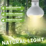 Reptile Heat Lamp Bulbs – Natural Sunlight Simulation