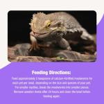 Fluker's Calcium-Fortified Mealworm Treats for Reptiles