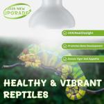 Reptile Heat Lamp Bulbs – Natural Sunlight Simulation