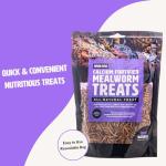 Fluker's Calcium-Fortified Mealworm Treats for Reptiles