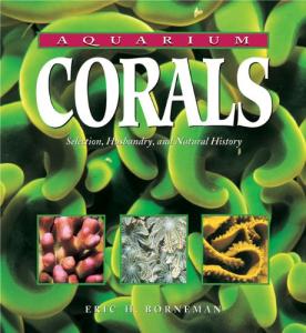 Aquarium Corals: Care Tips and Natural Insights