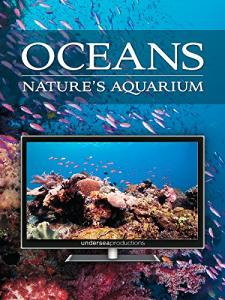 Oceans: Your Pet's Ultimate Aquarium Experience