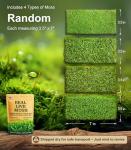 Live Moss Variety Pack for Terrariums & Gardens