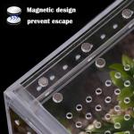 Acrylic Tarantula Enclosure with Magnetic Button