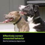 Dog Shock Collar with Remote - 1000ft Range