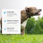 Dog Shock Collar with Remote - 1000ft Range