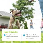 Dog Shock Collar with Remote - 1000ft Range