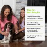 Dog Shock Collar with Remote - 1000ft Range