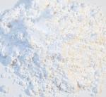 Zoo Med Calcium for Reptiles, 8 Ounces