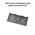 10 Gallon Fish Tank Starter Kit with LED Light