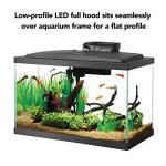 10 Gallon Fish Tank Starter Kit with LED Light
