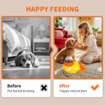 Interactive Dog Food Puzzle and Slow Feeder