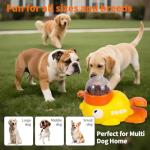 Interactive Dog Food Puzzle and Slow Feeder