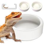 Ceramic Reptile Food and Water Dish Set