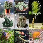 Aquarium Plant Trimming Tool Kit - 4pcs Set