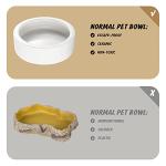 Ceramic Reptile Food and Water Dish Set