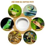 Ceramic Reptile Food and Water Dish Set