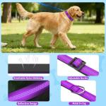 Adjustable Reflective Dog Collar with Padded Comfort