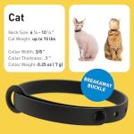 Soft Silicone Breakaway Cat Collar with Name Tag