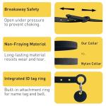 Soft Silicone Breakaway Cat Collar with Name Tag