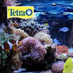 Tetra BettaSafe Water Conditioner for Aquariums