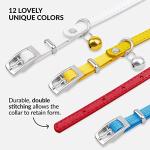 CollarDirect Leather Cat Collar with Breakaway Bell