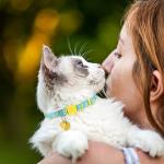 VKPETFR Cute Breakaway Cat Collars with Bells - 3 Pack