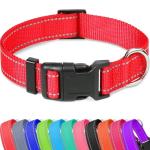 Reflective Adjustable Dog Collar for All Sizes