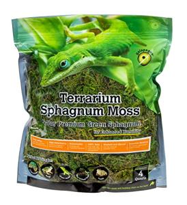 Natural Green Sphagnum Moss Terrarium Kit, 4 Quart