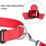 Reflective Adjustable Dog Collar for All Sizes