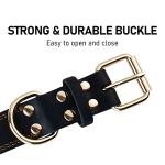 DAIHAQIKO Heavy Duty Leather Dog Collar