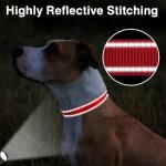 Reflective Adjustable Dog Collar for All Sizes