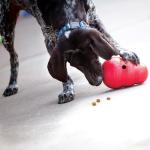 KONG Wobbler - Interactive Treat Dispenser for Dogs