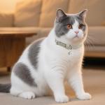 Soft Leather Cat Collars with Bells - 2 Pack