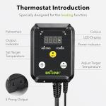 Digital Reptile Thermostat Temperature Controller