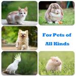 ABSONE Dog Clicker Training Tool - 2 Pack