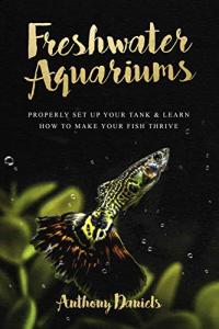 Set Up Your Freshwater Aquarium for Happy Fish