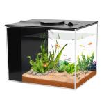 1 Gallon Betta Fish Tank with LED Light