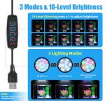 1 Gallon Betta Fish Tank with LED Light