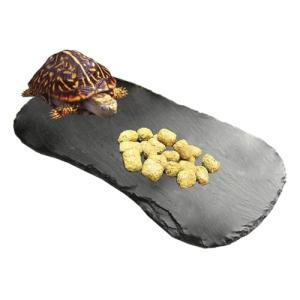 Reptile Basking Rock Plate and Feeding Dish