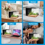 1 Gallon Betta Fish Tank with LED Light