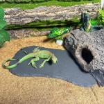 Reptile Basking Rock Plate and Feeding Dish