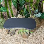 Reptile Basking Rock Plate and Feeding Dish