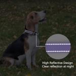 Reflective Padded Dog Collar for Medium Dogs - Purple