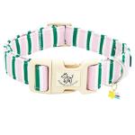Cute Pink and Green Adjustable Dog Collar
